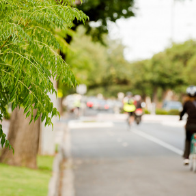 Beulah Road Bicycle February 2016-3