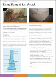 Heritage Rising Salt Damp Factsheet thumb