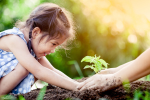Child planting garden