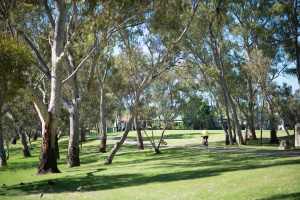 St Peters River Park Oval